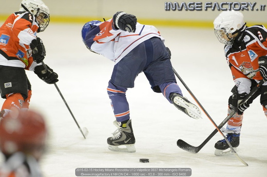 2015-02-15 Hockey Milano Rossoblu U12-Valpellice 0837 Michelangelo Romano